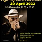 Sugar Ray Affisch